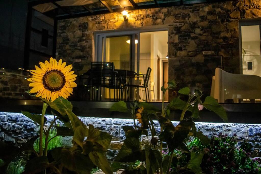 Istron Avra Apartment Kalo Chorio  Exterior photo